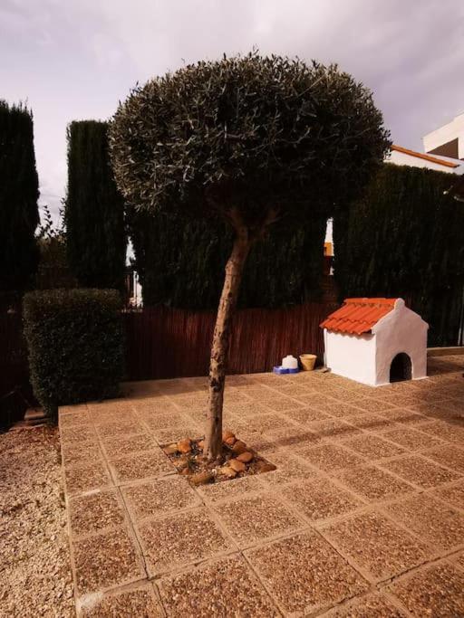 Villa Paraiso Écija Exteriér fotografie